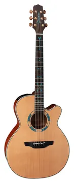 Takamine Limited 2023 Santa Fe 30th Anniversary