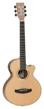 Tanglewood Serie Discovery Exotic DBTTCE Natural Open Pore Satin