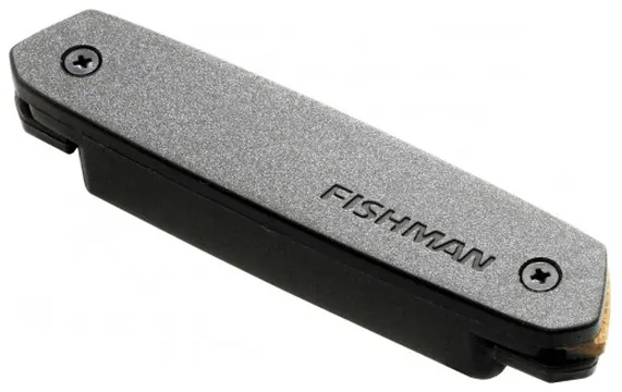 Fishman NEO-D02 - Micro Rosace Double Bobinage