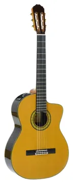 Takamine Eh5c Natural Classico Nylon