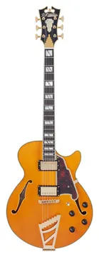 D'Angelico Excel SS Vintage Natural