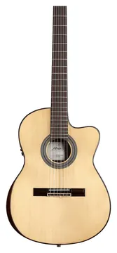 Alvarez Artist Series AC70Hce Armrest