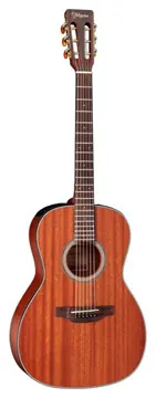 Takamine GY11ME Natural