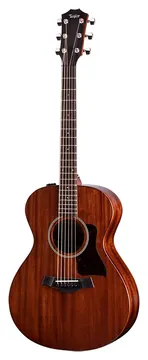 Taylor AD22e