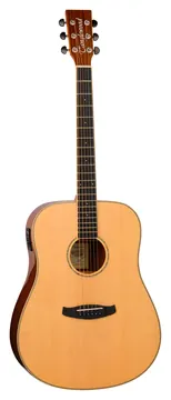 Tanglewood Roadster X 5 E