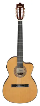 Ibanez GA5TCE-AM