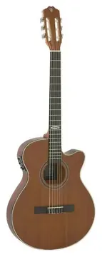 Strinberg SL200C - Mgs Fosco - Flat