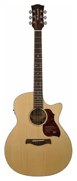Richwood G-22-CE Chitarra acustica grand auditorium elettrificata