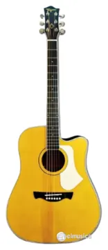 Tagima Andes Folk Eletro Acústico Natural Amber Satin NTABS