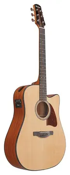 Ibanez Advanced Electro-Acoustic AAD51CE - Natural High Gloss