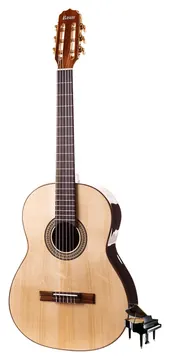 Rozini Studio RX210 ACN Acústico