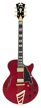 D'Angelico Excel SS Trans Cherry