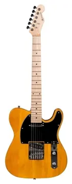 Michael GM385N AM Telecaster
