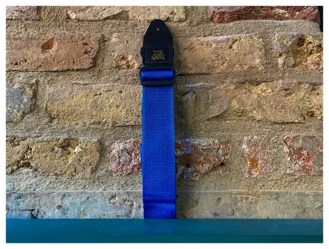 Ernie Ball Polypro Pearl Blue & Black Strap