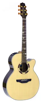 Takamine DSF48C N Ct4dx Ctpu C/ Semi-Case