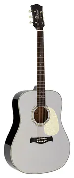 Richwood Heritage Series HSD-55-GS dreadnought guitar with solid spruce top