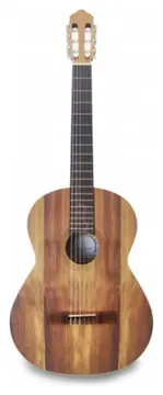 APC 1 Koa Koa OP