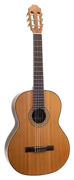 Juan Salvador 6C Klassieke gitaar
