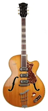 Höfner 463/S/3Hollowbody 60s (Bastelgitarre)