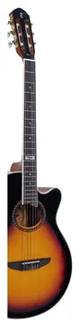 Tagima Vegas Artistic Agathis Sunburst
