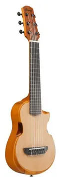 Ibanez AUP10N-OPN