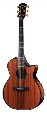 Taylor 914Ce Builders Edition