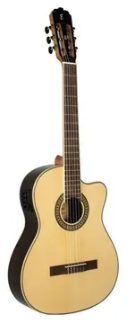 Tagima WS10 EQ Cutaway Nylon Serie Walnut