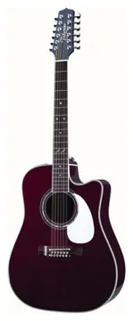 Takamine JJ325SRC12K Chitarra Acustica