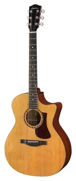 Eastman AC122-2CE - Auditorium