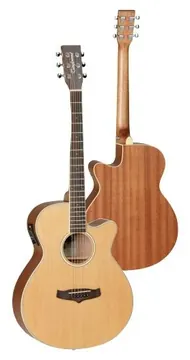Tanglewood Chitarra Acustica Elettrificata Winterleaf Tw9