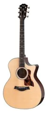 Taylor 414CE Next Generation con custodia