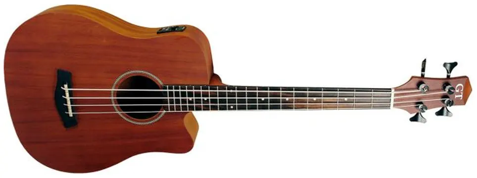 Gold Tone Micro Bass 25'' Akustikbass