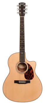 Larrivee LV-09 Artist Larrivee Body Rosewood Akusik-Gitarre inkl. Koffer / AL