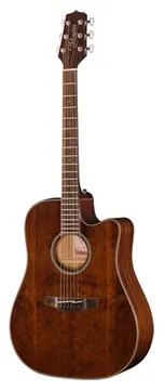 Takamine GD21CE SM