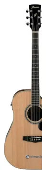 Ibanez PF15ECE Aço Natural High Gloss