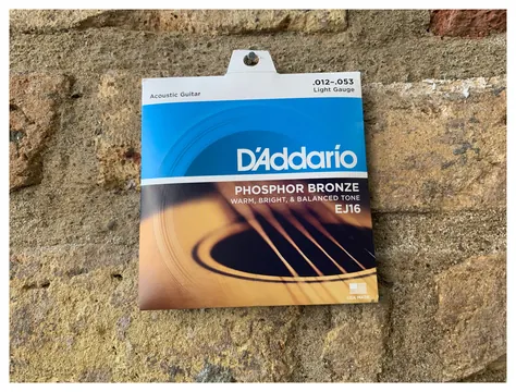D'Addario EJ16 Light 12's Phosphor Bronze