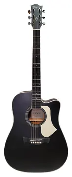 Tagima Andes Folk Cutaway EQ Aço BKS Latin America