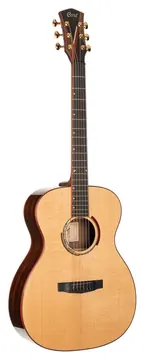 Cort Gitarre Abstract Delta Natur
