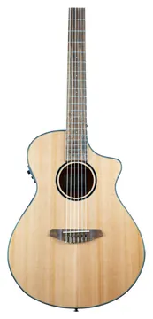 Breedlove Discovery S Concert Nylon Ce