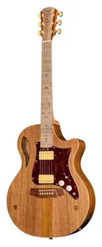 Cole Clark AN2EC-BLBL-HH