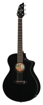 Breedlove Rainforest S Concert CE MB