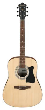 Ibanez V50NJP-OPN Jam Pack