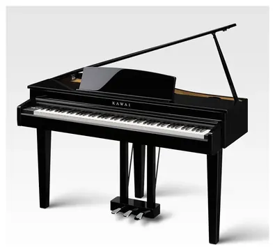 Kawai DG-30 PE