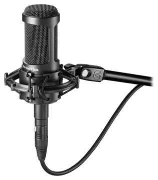 Audio-Technica AT2050 Microfono Pro x voce podcasting, streaming e registrazione