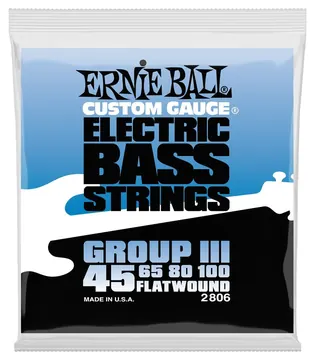 Ernie Ball Flatwound E-Bass Saiten Satz 45-100