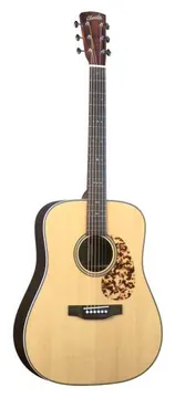 Blueridge BR160A