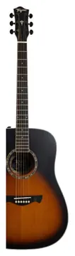 Tagima TLM-100 SB - C/Bag
