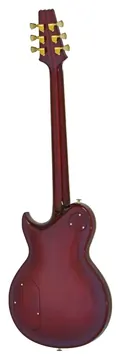 Aria Pro II PE-R100 Antique Brown
