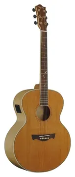 Tagima FS 650 NT