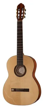 Gewa Pro Arte GC130A